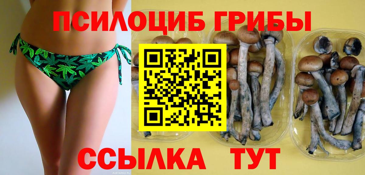 Псилоцибиновые грибы GOLDEN TEACHER Усть-Джегута