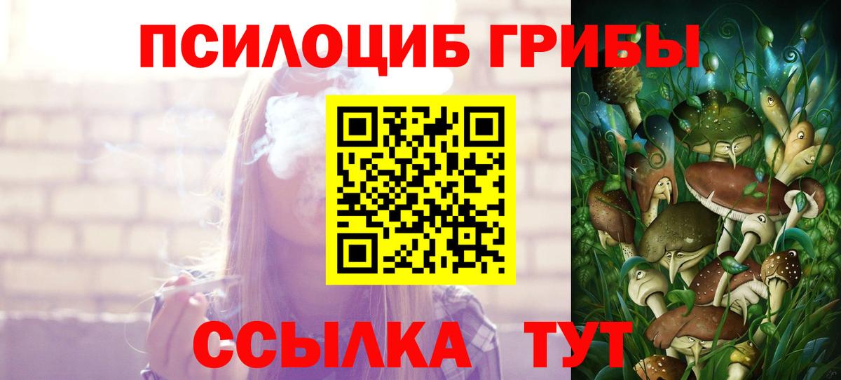 Усть-Джегута  Галлюциногенные грибы Cubensis  Вход с VPN 